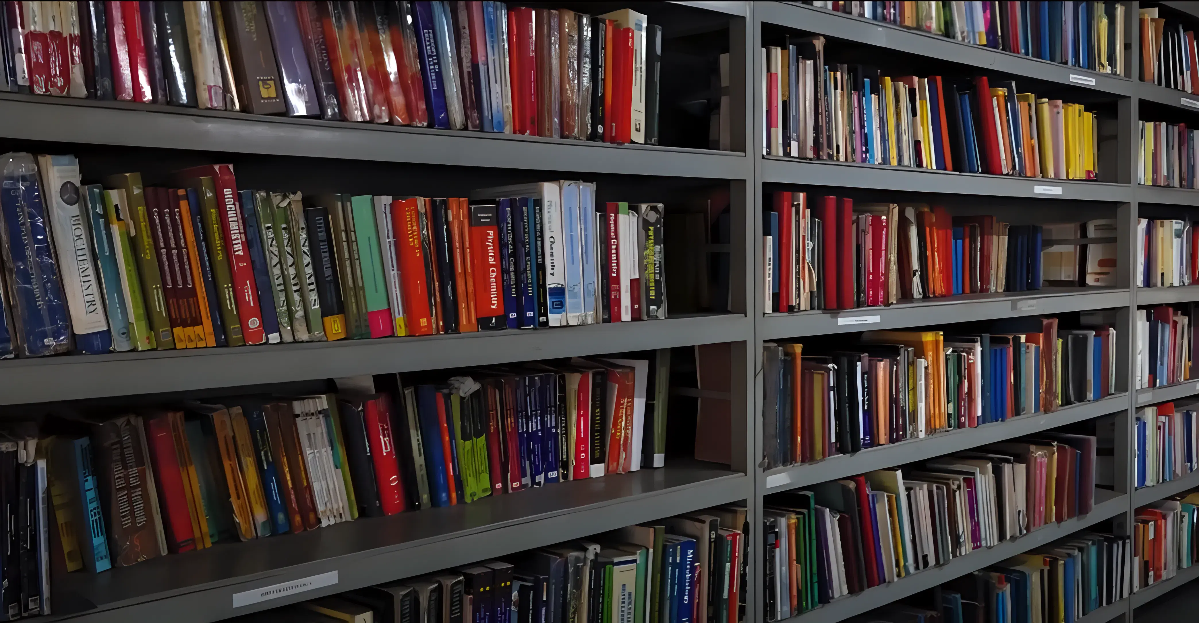 SDMIT Library photo 3